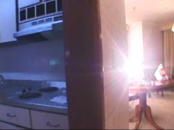 Captura de 'Hot Latin Pussy Adventures 15' nº 105