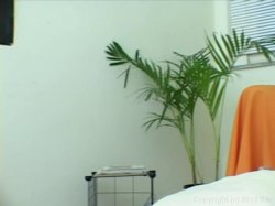 Captura de 'Transsexual Prostitutes 24' nº 81