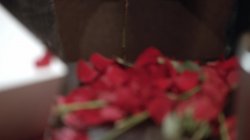 'Cake Vol. 2' screenshot nº 45