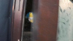 'Model Time Volume 5' screenshot nº 1
