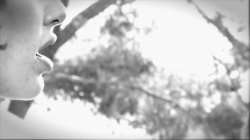'Alice' screenshot nº 113