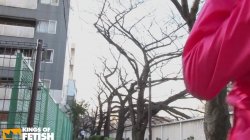 'Running With Aoi' screenshot nº 46