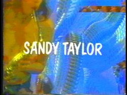 Captura de 'Hot Shorts - Sandy Taylor' nº 13