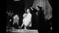'Star Virgin' screenshot nº 46