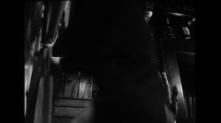 'Star Virgin' screenshot nº 49