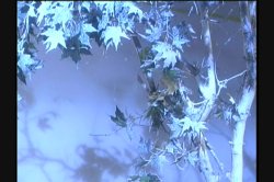 Captura de 'Liquid Sex' nº 116