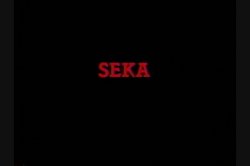 'Hot Shorts: Seka' screenshot nº 5