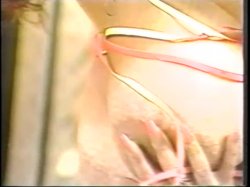 Captura de 'Celebration / Sparks 13' nº 54