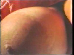 Captura de 'Celebration / Sparks 13' nº 32
