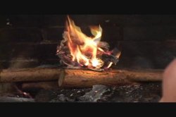 'Totally Natural 7' screenshot nº 20