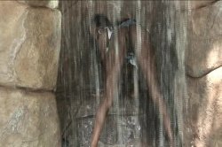 'Booty Juice 12' screenshot nº 92