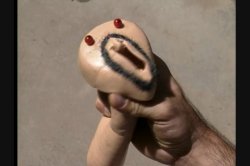 Captura de 'Hootermania' nº 43