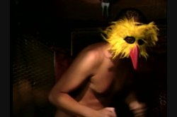 Captura de 'Hootermania' nº 87