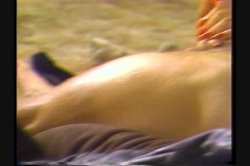 'Bitches In Heat Vol. 5' screenshot nº 71