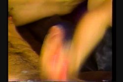 'Bitches In Heat Vol. 5' screenshot nº 83