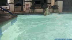 Captura de 'Wet & Wild MILF Fucks Her Step-Son In POV' nº 3