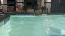 Captura de 'Wet & Wild MILF Fucks Her Step-Son In POV' nº 6