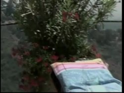 'Sweet & Sour Porking' screenshot nº 114