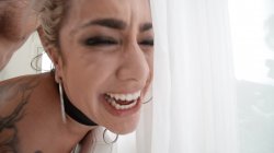 Captura de 'Anal MILFs Only 3' nº 20