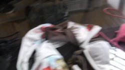 'We Swallow 24' screenshot nº 57