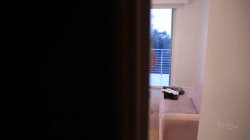 'Purely POV' screenshot nº 132