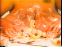 Captura de 'My Dinner With Susie' nº 113