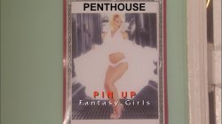 'Pin-Up' screenshot nº 4
