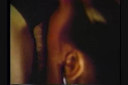 Captura de 'Bitches In Heat Vol. 9' nº 91