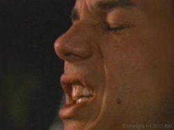 'Vivid's Award Winners: Best Oral Sex Scene' screenshot nº 26