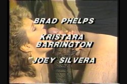 Captura de 'Bitches In Heat Vol. 12' nº 8