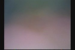 Captura de 'Anal Vision 23' nº 112