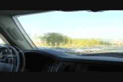 Captura de 'MILFs In Heat 4' nº 76