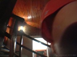 Captura de 'Hot Latin Pussy Adventures 38' nº 131