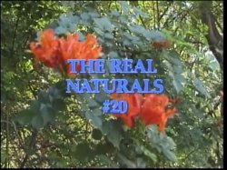 'Real Naturals 20' screenshot nº 1