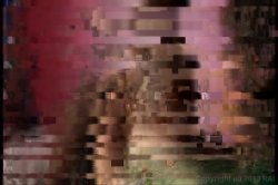 'Sex Change' screenshot nº 125