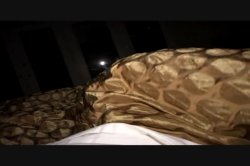 Captura de 'Seymore Butts' Bottom Feeders' nº 63
