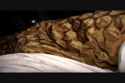 Captura de 'Seymore Butts' Bottom Feeders' nº 64