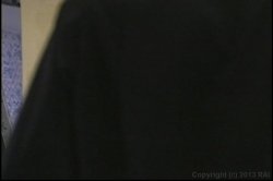 'Ass Is A Terrible Thing To Waste, An' screenshot nº 39