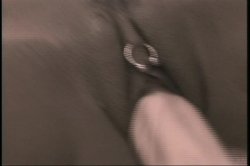 'Ass Is A Terrible Thing To Waste, An' screenshot nº 110