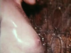Captura de 'Horny Honeys 113 - Beaver Fever' nº 2