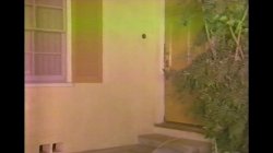 'Back Road To Paradise' screenshot nº 41
