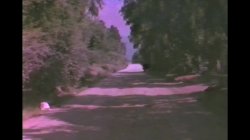 'Back Road To Paradise' screenshot nº 43