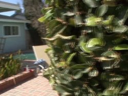 'Housewife 1 on 1 Vol. 14' screenshot nº 32
