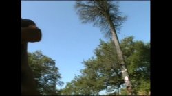 Captura de 'Chiavami Con L'alluce' nº 89
