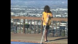 'Forever Savannah' screenshot nº 39