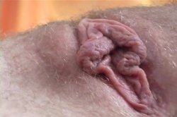 'Horny Hairy Girls 19' screenshot nº 82