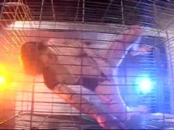 'Mouth Meat II' screenshot nº 4