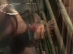 'Mouth Meat II' screenshot nº 89