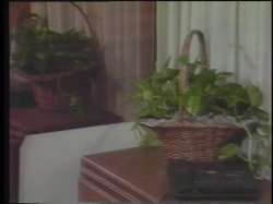 'Rockey X. (The John Holmes Classic Collection)' screenshot nº 64