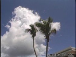 'Boob Cruise Paradise' screenshot nº 20